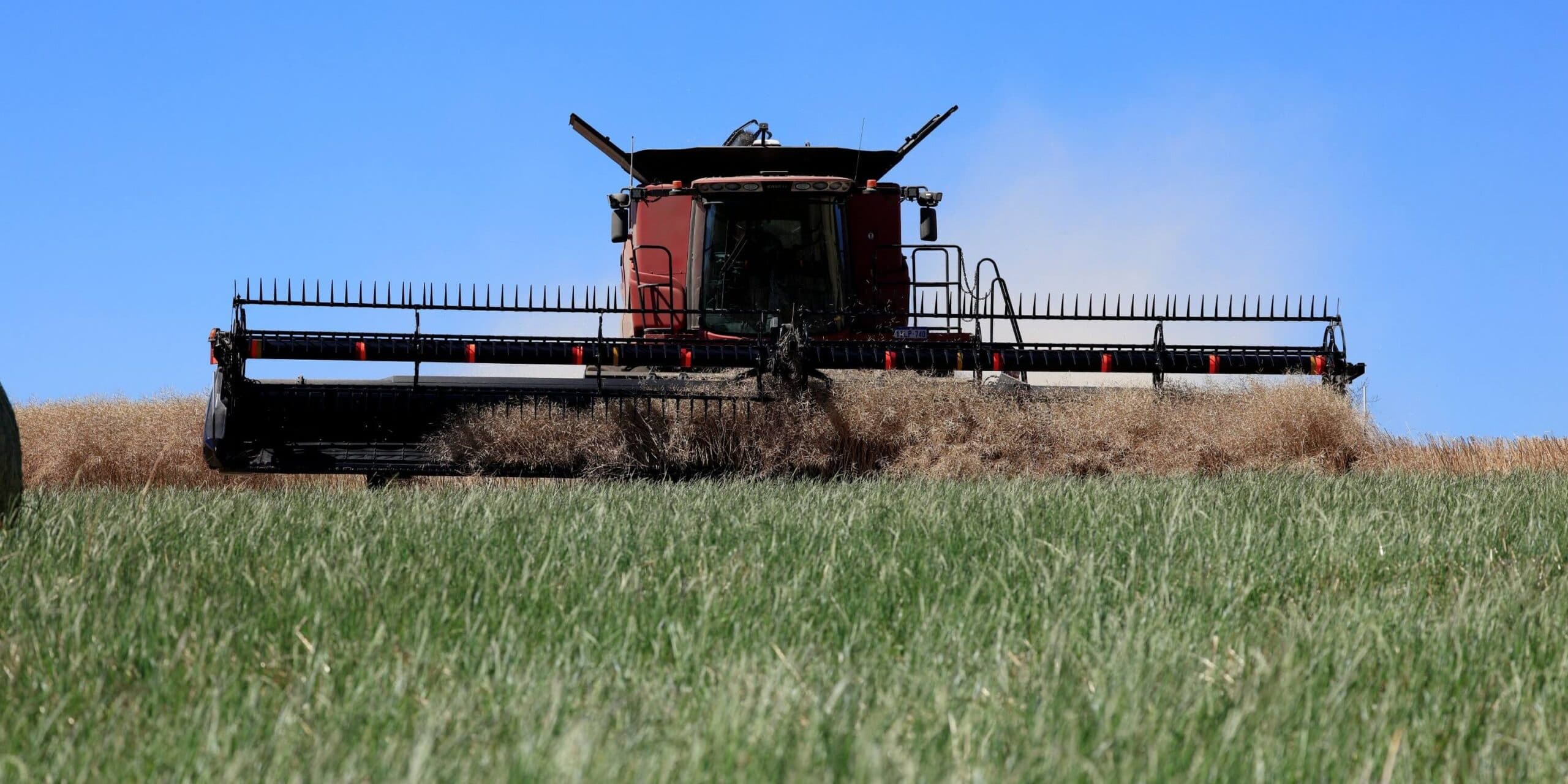 Cropping